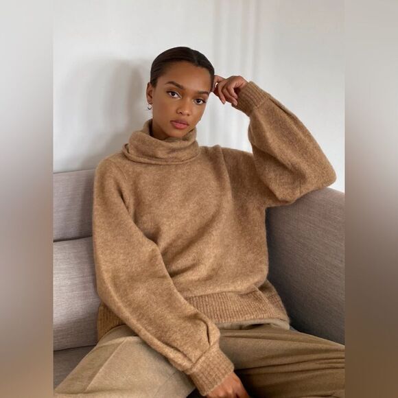 NWOT Aritzia The Group by Babaton Adichie Alpaca Wool Blend Turtleneck Sweater - Picture 1 of 3